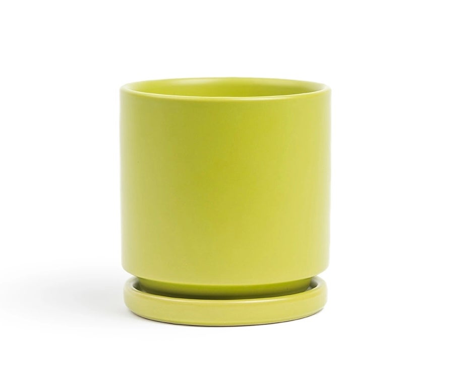 Gemstone Planters by Momma Pots | Pups Plants + Goods
